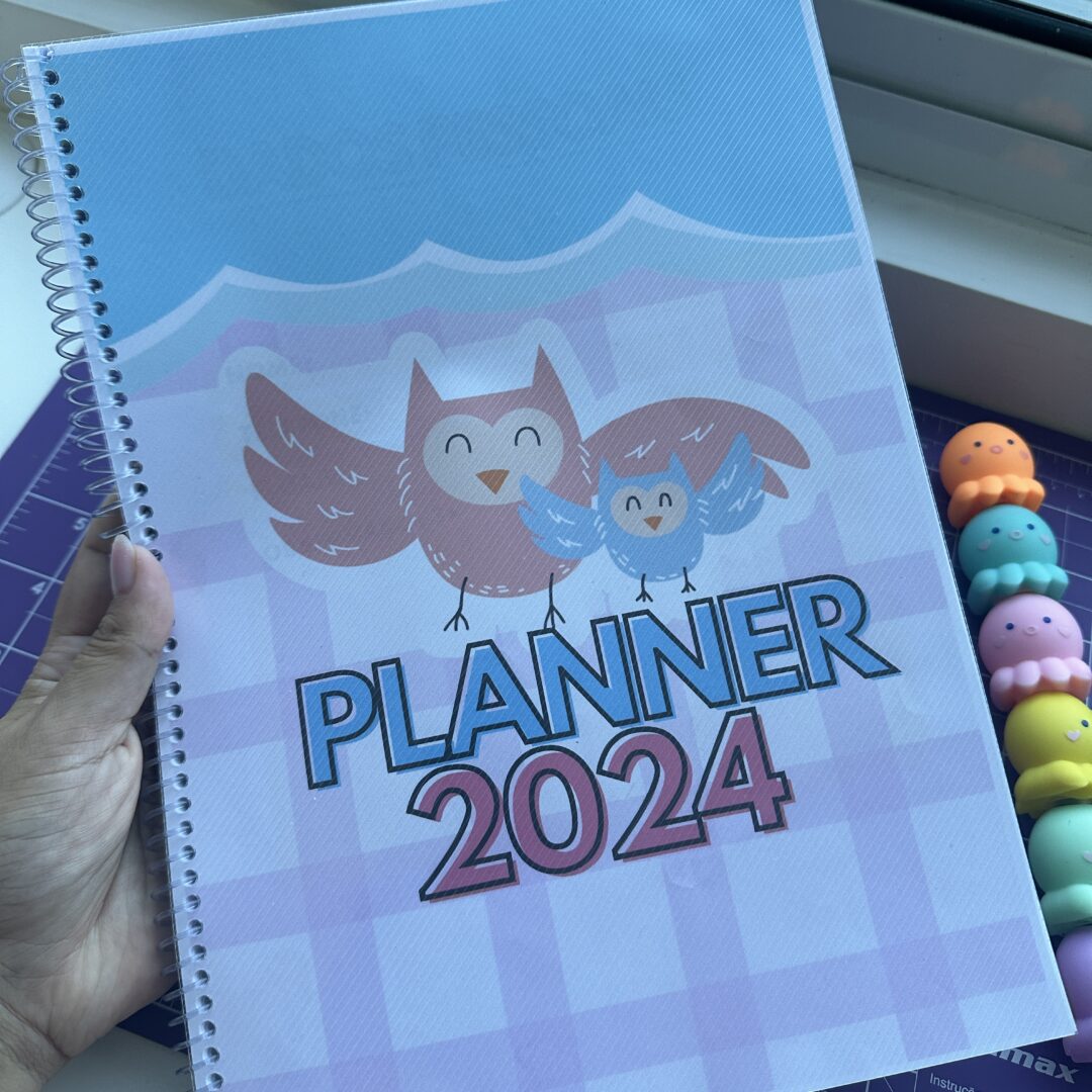 Planner 2024 - Corujinha rosa e azul